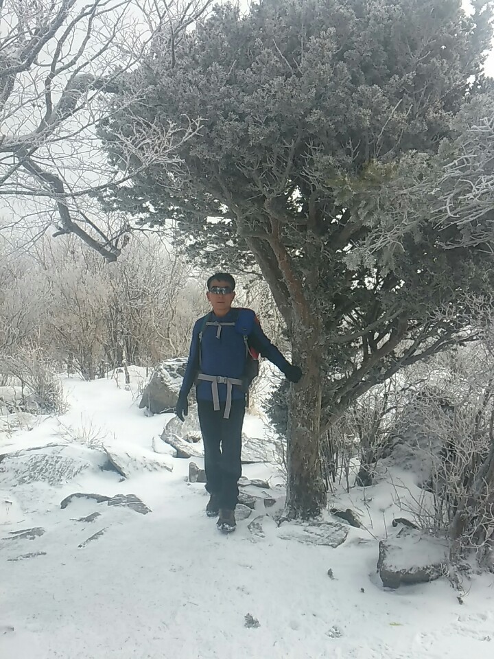 해오름주 이미지