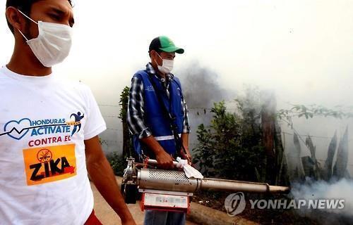 중국서 첫 지카 바이러스 확진 환자 발생(종합) | 인스티즈