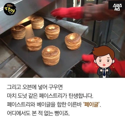 빵 하나를 만드는 데 열흘이 걸리는 빵집 | 인스티즈