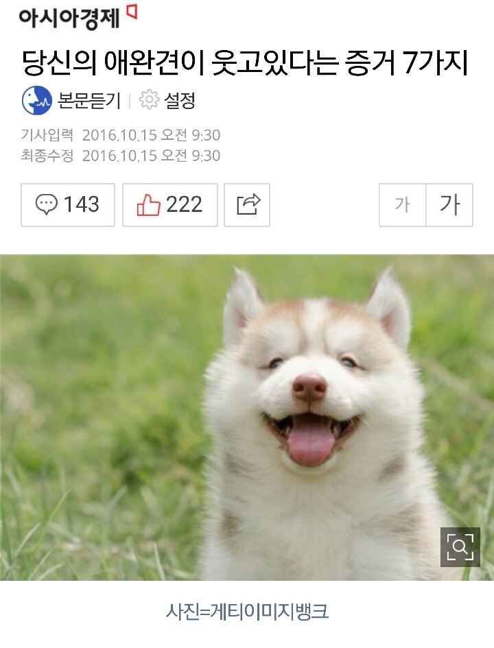 당신의 애완견이 웃고있다는 증거 7가지 | 인스티즈