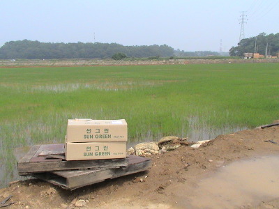 대풍친환경 이미지