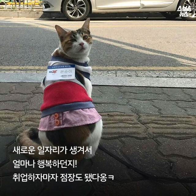 편순이 처음 보냥? | 인스티즈