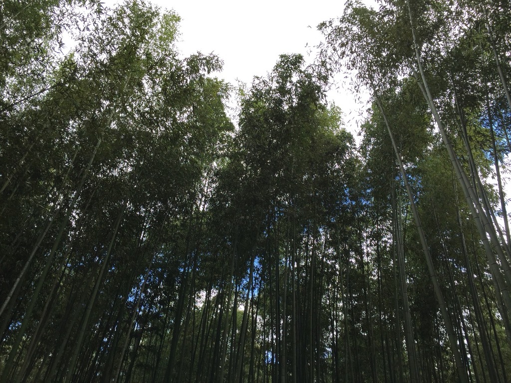  오사카 3박4일 여행기 | 인스티즈