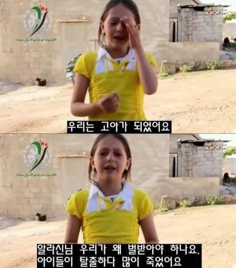 is때문에 고아된 아가 | 인스티즈
