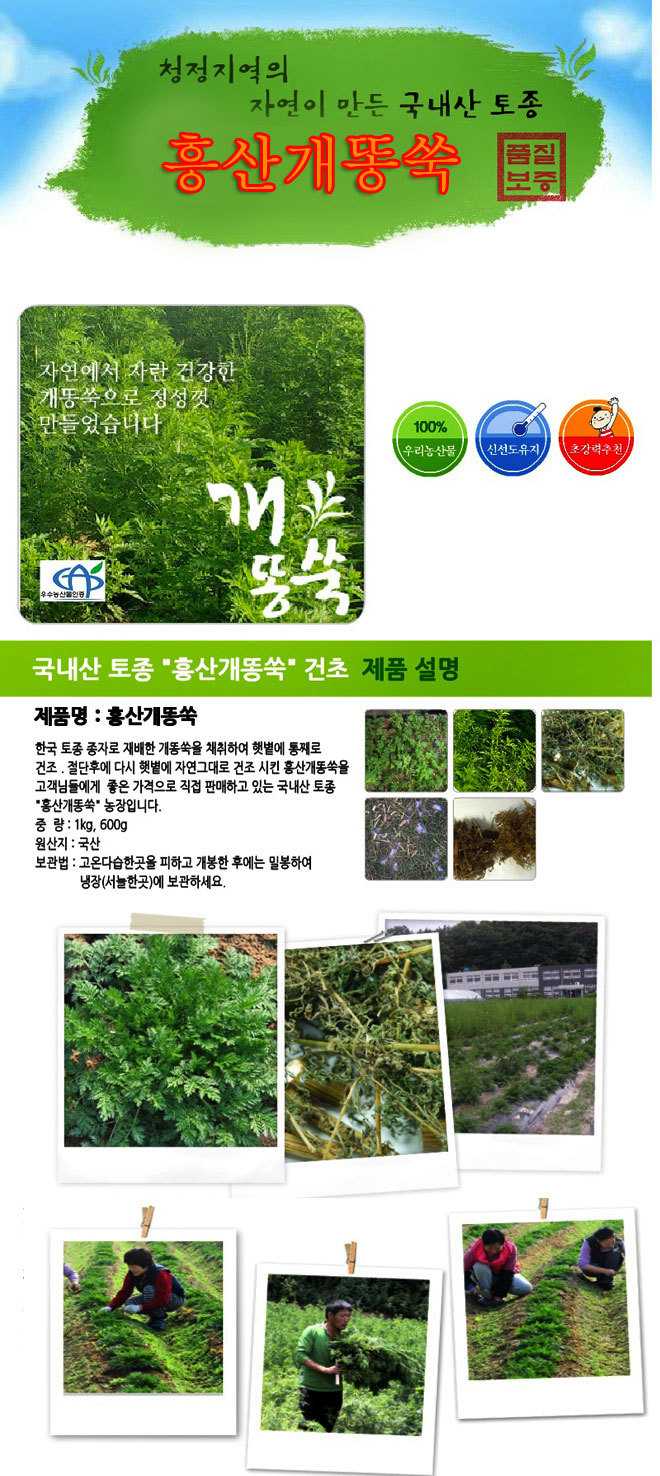 흥산 이미지