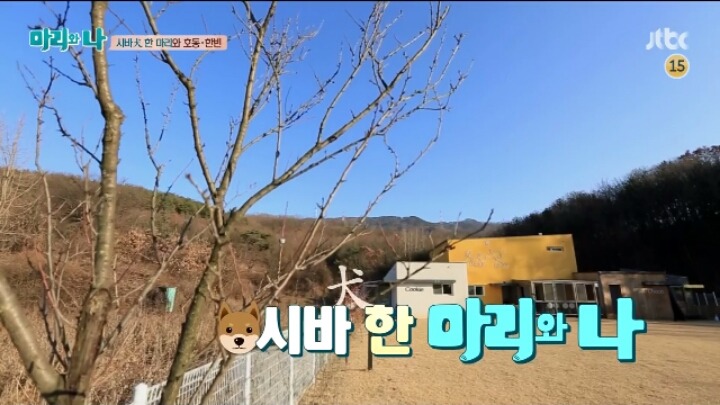 [마리와나] 약 빨고 쓰는 거 같은 마리와 나 자막ㅋㅋㅋㅋㅋㅋㅋㅋ | 인스티즈