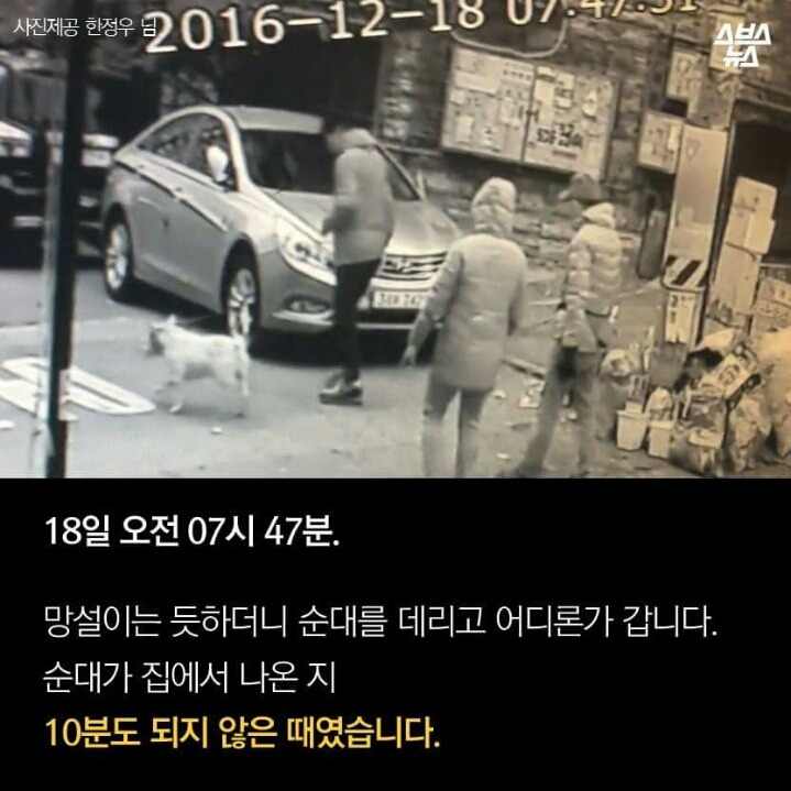 제 강아지가 잡아 먹혔습니다.jpg | 인스티즈