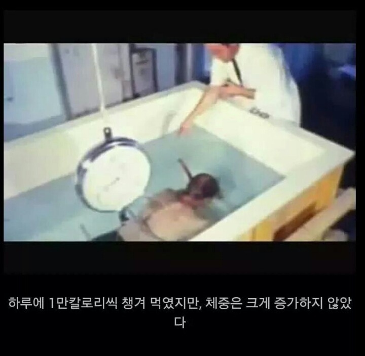 음식을 먹어도 살안찌는 사람들에 대한자료 | 인스티즈