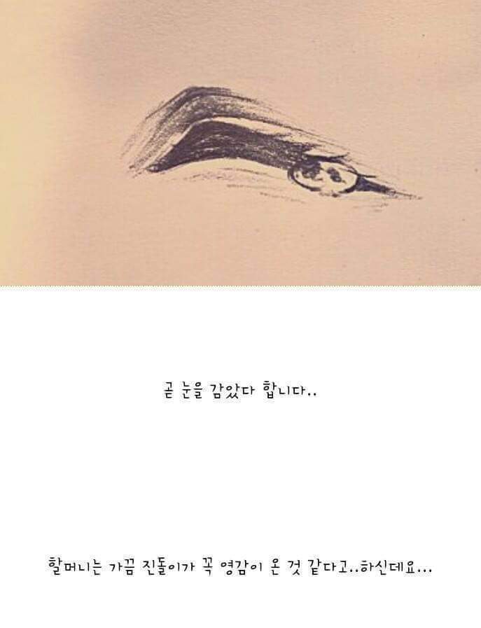 실화라서 더 슬프다.. | 인스티즈