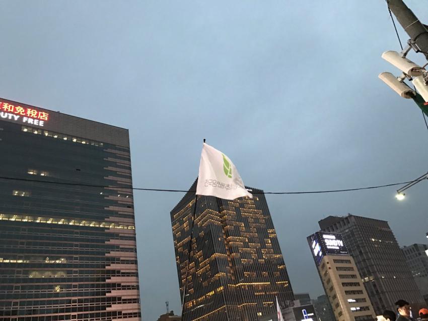 광화문에 모인 각종 단체들 깃발.flag | 인스티즈