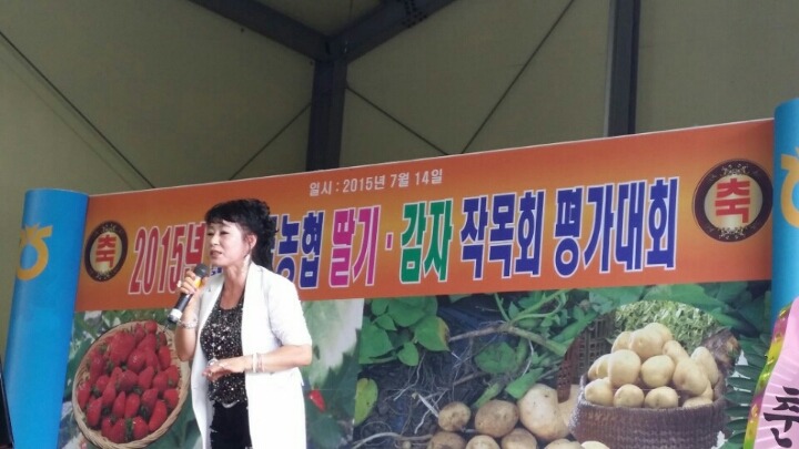 순정감자 이미지