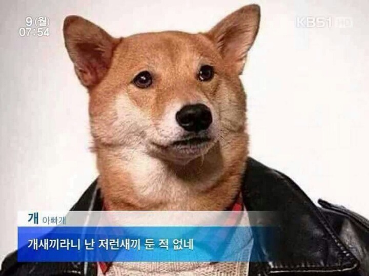 아 이미지