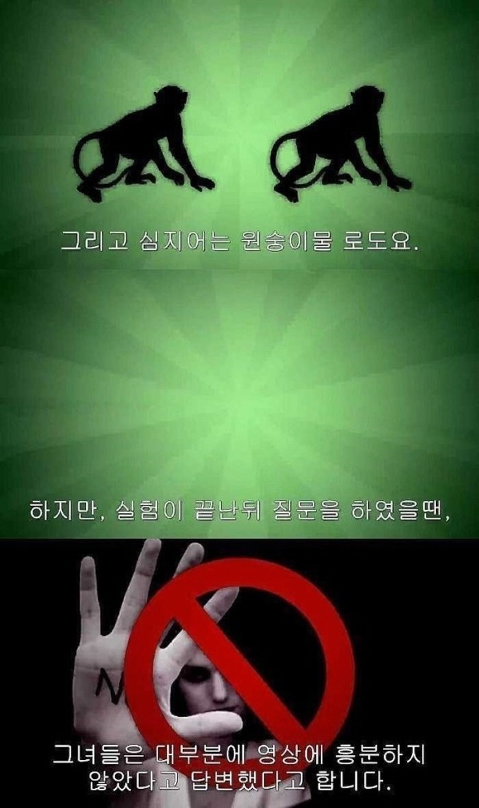 야동 볼 때 여 남 차이 | 인스티즈