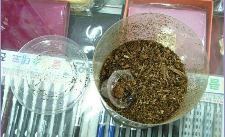 택배 날아간 사건 레전드 | 인스티즈