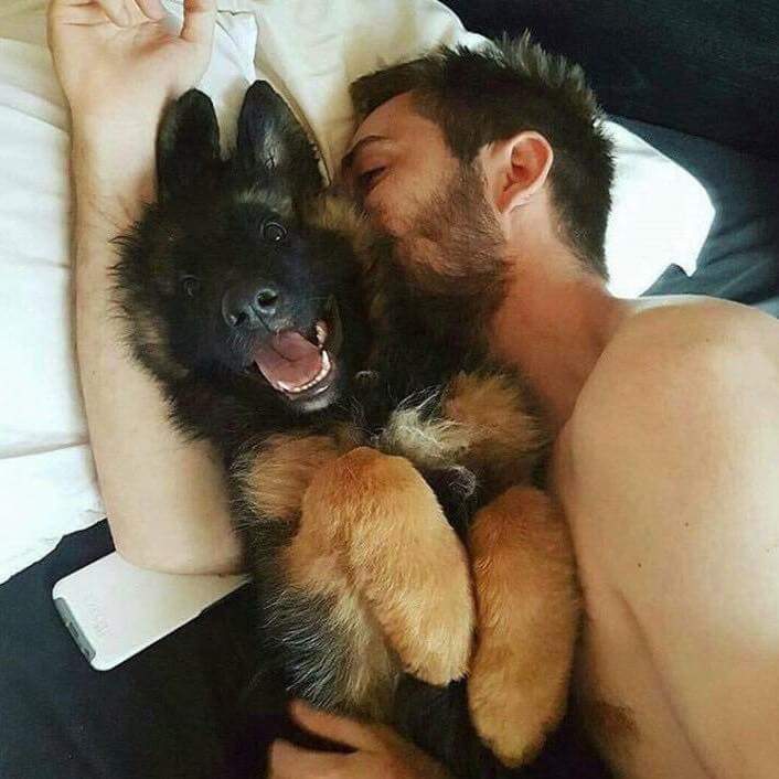 대형견을 키우는 이유.jpg | 인스티즈