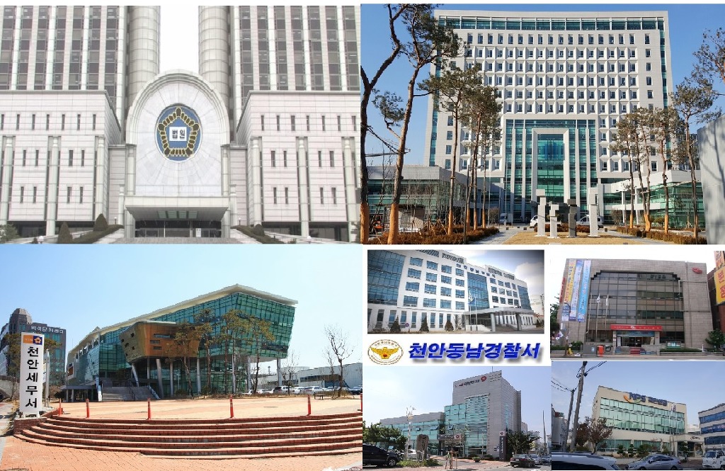 롯데리아천안청수 이미지