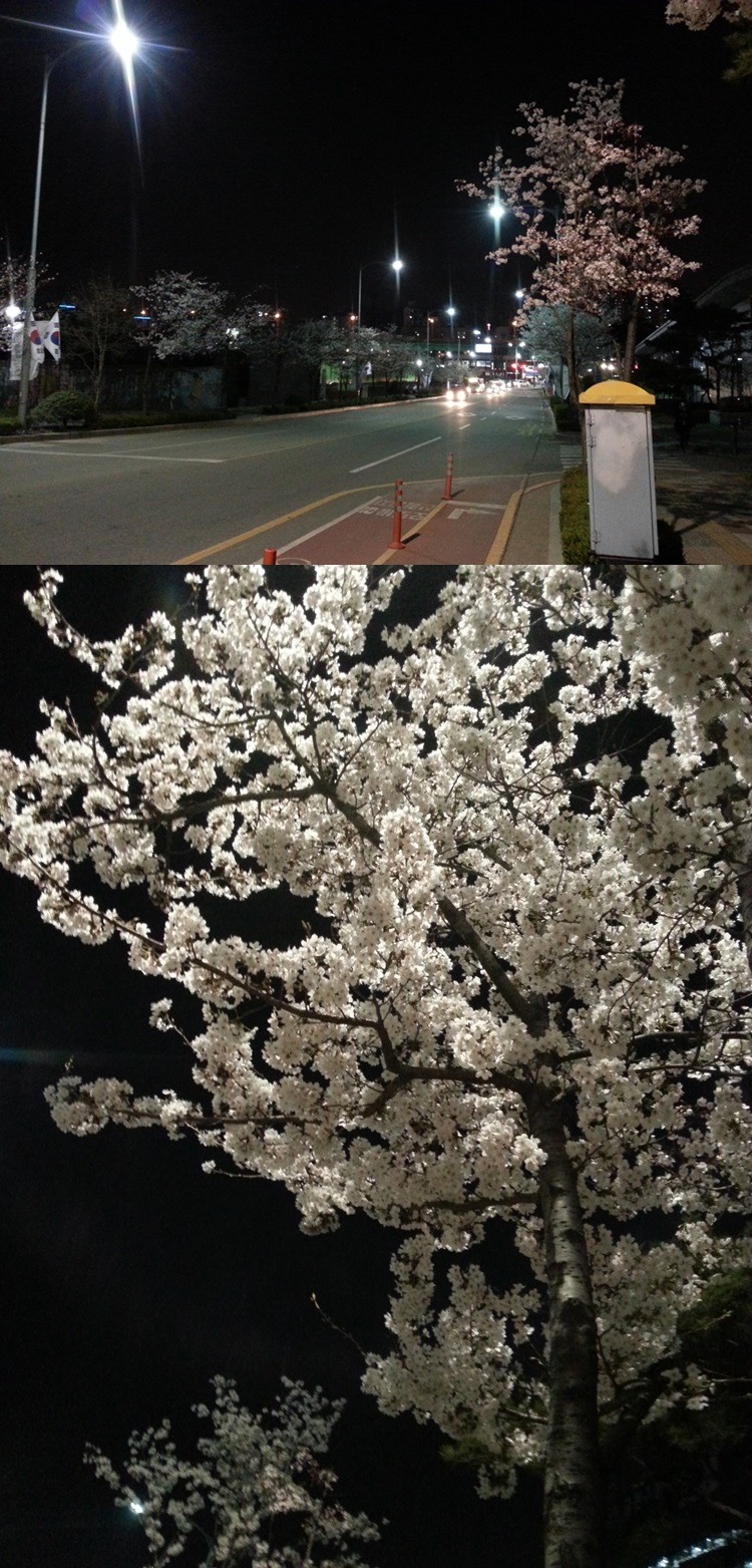 누구에게도 방해받지 않으며 신경쓰지 않고 음식을 먹는다는 포상의 행위 iN 동네놀이 | 인스티즈