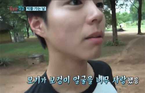 꽃보다 청춘에서 박보검이 하는 일 | 인스티즈