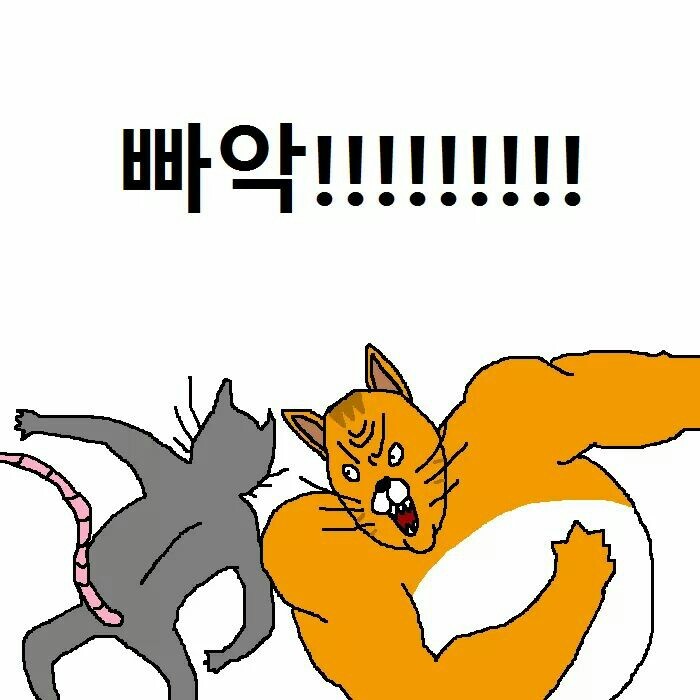 상남자 고양이가 아들 교육하는 만화 | 인스티즈