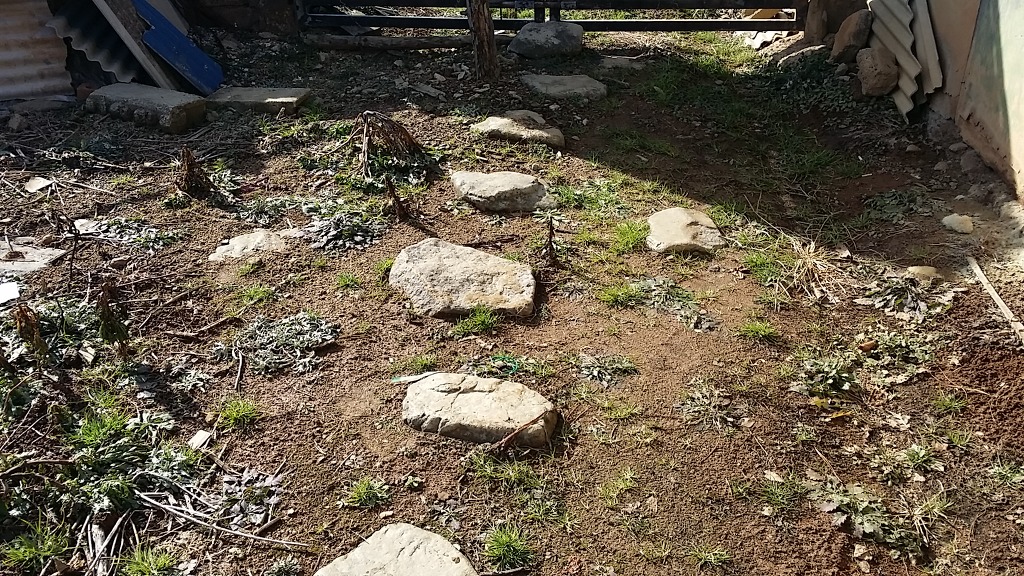 동산의원 이미지