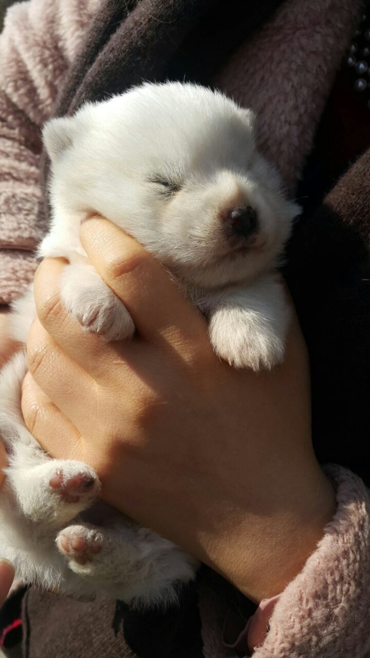 이 세상에 생긴지 열흘정도밖에 안된 따끈따끈한 생명체.jpg | 인스티즈