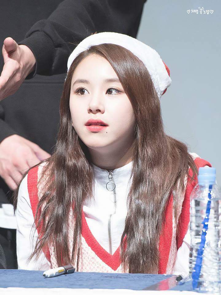 손채영 고화질 배경 사진.jpg | 인스티즈
