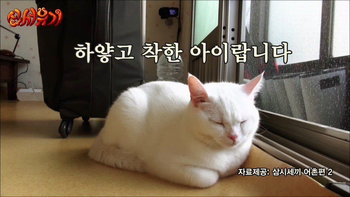 이승기가 알려주는 편집해달라 하는 방법 | 인스티즈