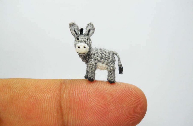 세상에서 제일 작은 뜨개질.jpg | 인스티즈