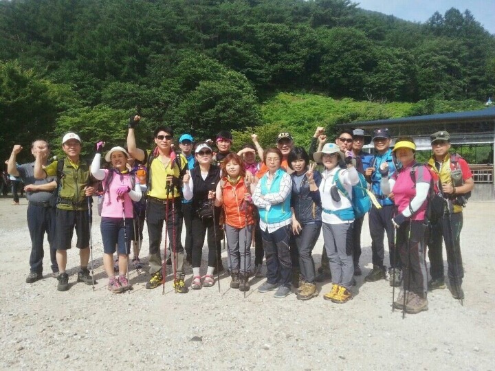 산울림 이미지