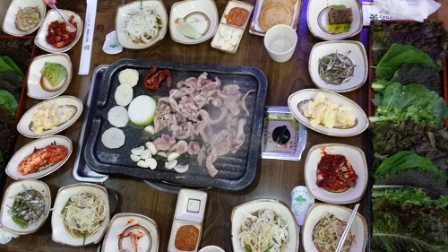황금오리 이미지