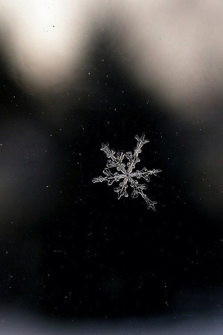 꿈이란 이룰 수 없다고 꿈이라 말하지만 | 인스티즈