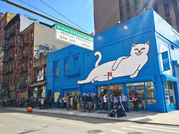 [ripndip] 유명 고양이 아이템 | 인스티즈