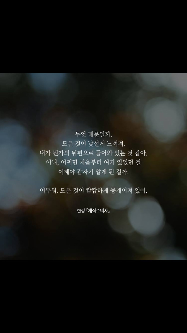한강 [채식주의자] 속 문장들 | 인스티즈