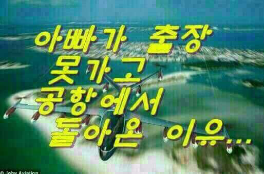 아빠가 출장가야 하는데 비행기를 못탄 이유 | 인스티즈