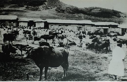 1950년대 수원의 모습.jpg | 인스티즈