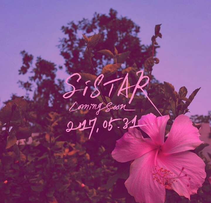 씨스타 5월 31일 컴백 | 인스티즈