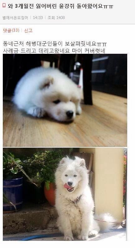 와야짐 이미지