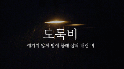  우리말로 된 예쁜 비이름 | 인스티즈