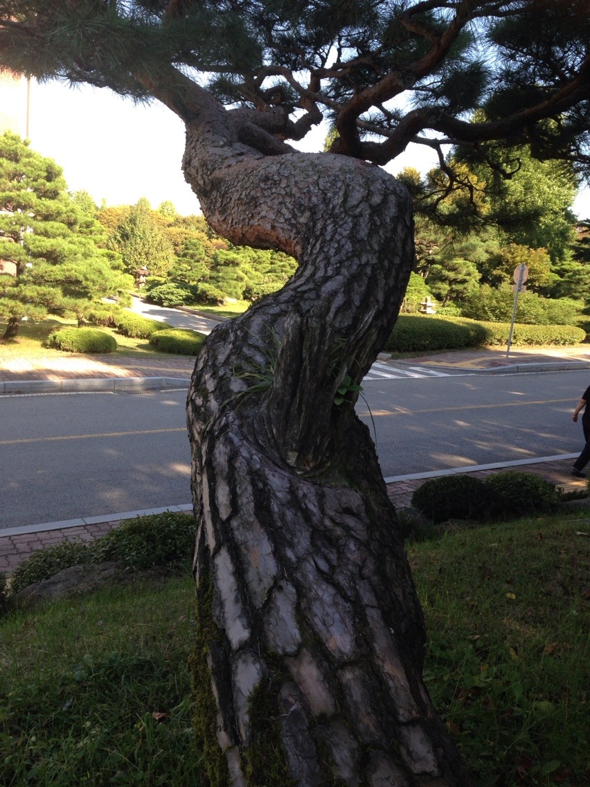 천안연암대학 이미지