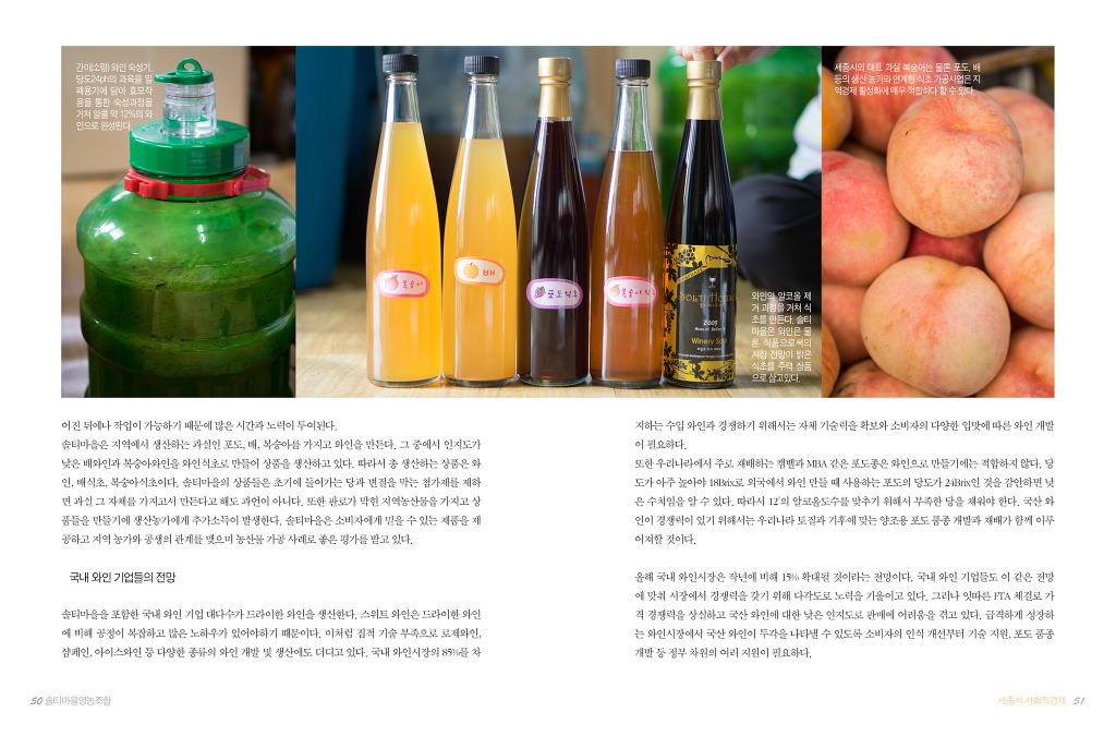 법인솔티 이미지