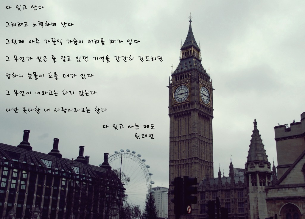 한 사람을 알고부터 내 스스로가 선택한 가장 아름다운 고통이다 | 인스티즈