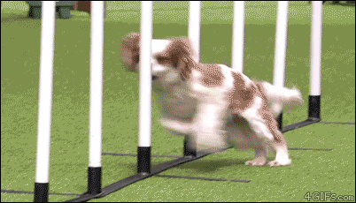 마무리가 아쉬움 .gif | 인스티즈