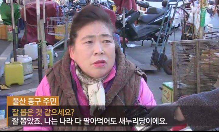 나라를 팔아먹어도 새누리 | 인스티즈