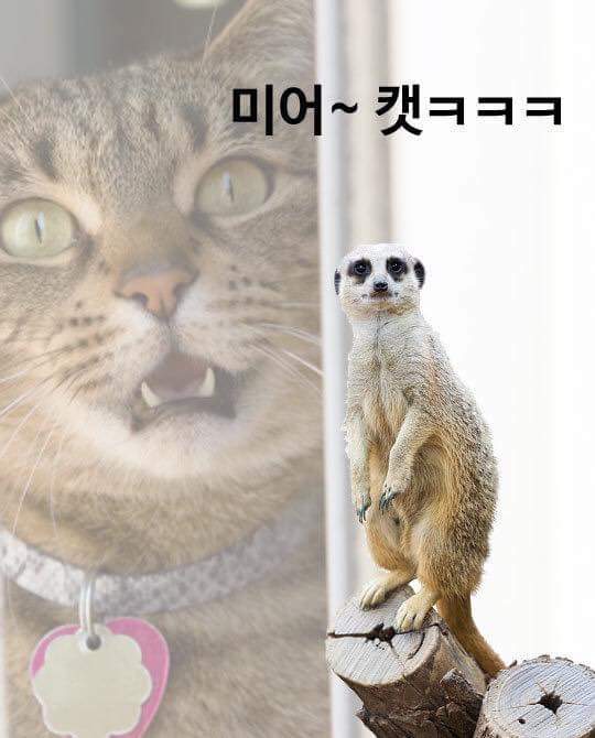 전화기로 지은 건물을 뭐라고 하는지 알아? | 인스티즈