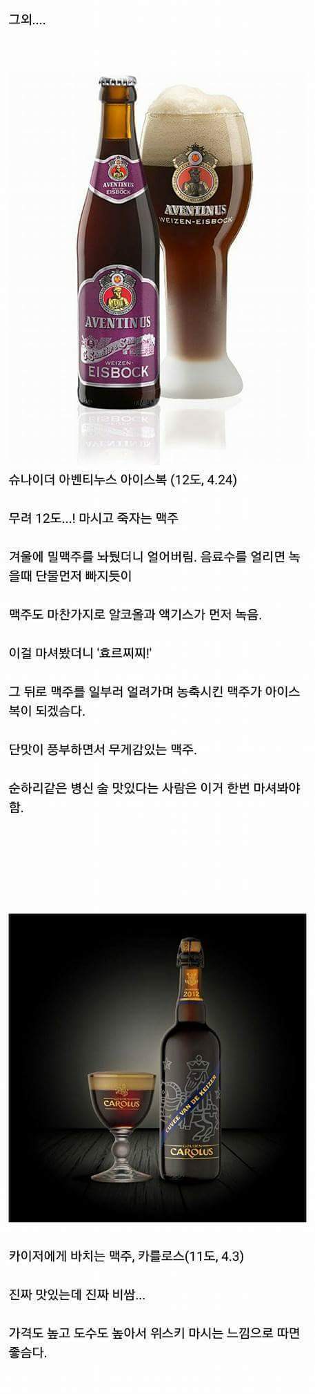맥주 덕후들이 추천하는 맥주 | 인스티즈