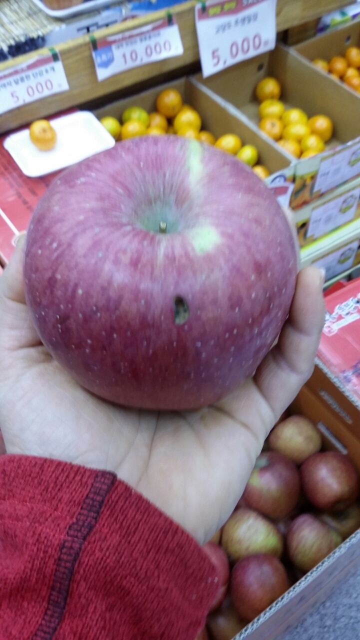 얼음골사과 이미지