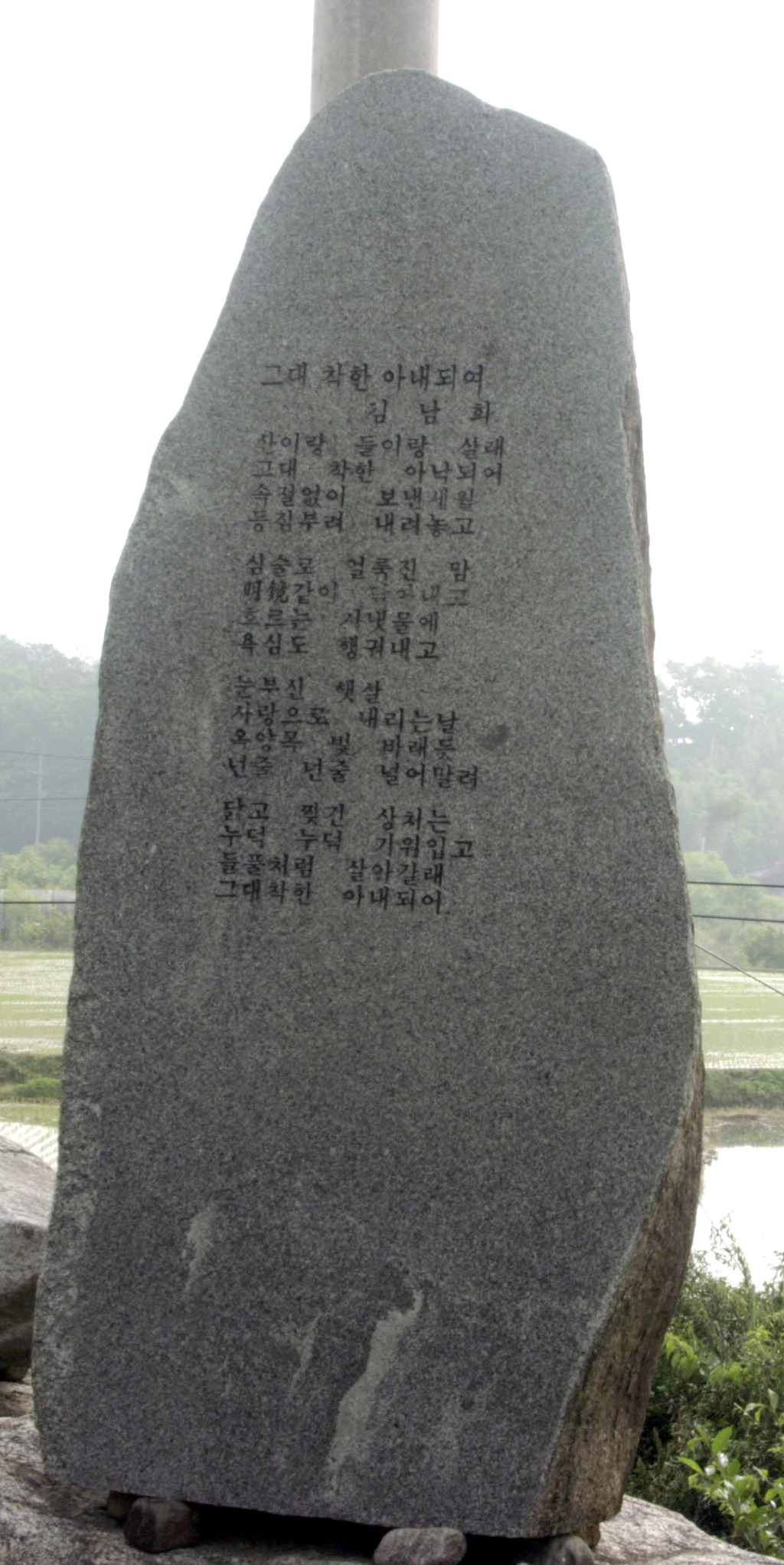 김*남3 이미지