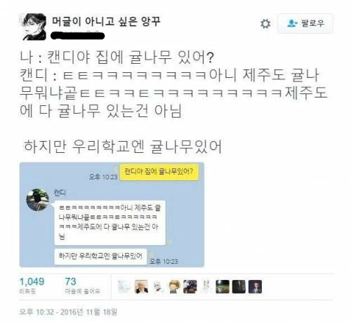 제주도니까 너네집에도 감귤나무키워? 에대한반박 | 인스티즈