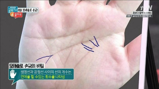 자기 인생에서 연애 할 수 있는 횟수를 나타나는 손금 | 인스티즈