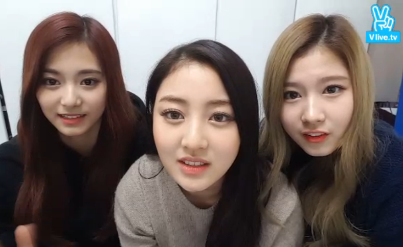 갑자기 브이앱 생방 하고있는 트와이스.jpg | 인스티즈